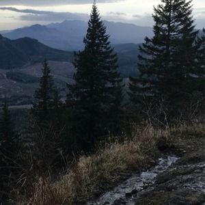 Meet your Posher, Mary clare